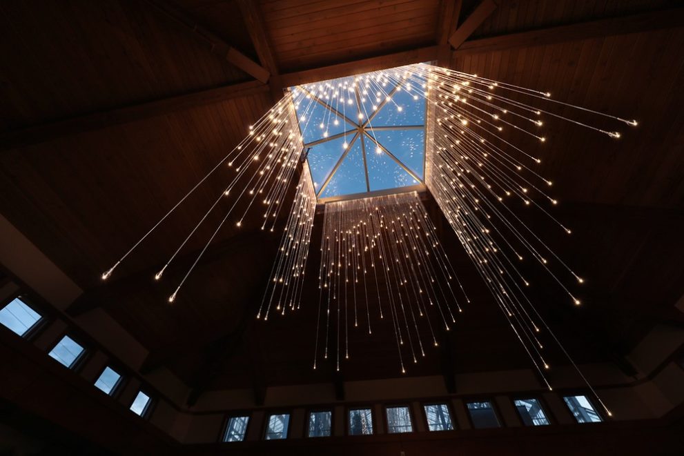 Bruce Munro Light Shower