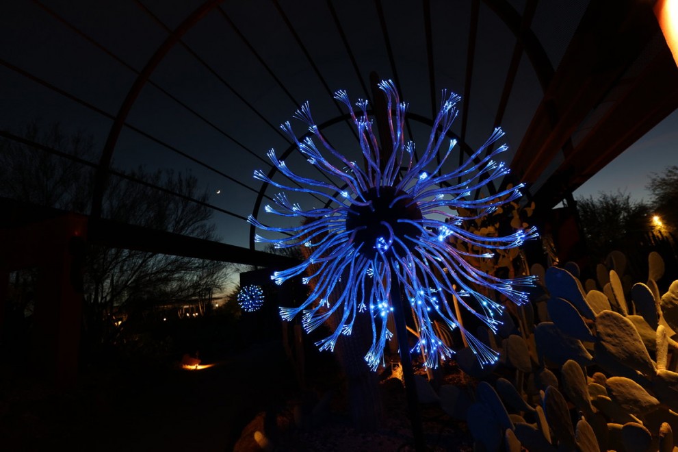 Bruce Munro Eden Blooms Eden Blooms