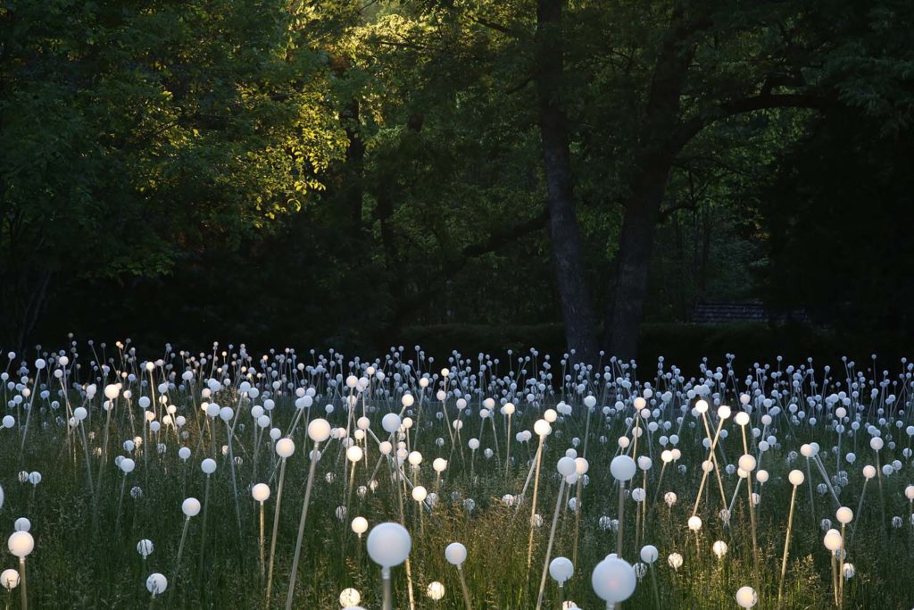 Bruce Munro At Cheekwood